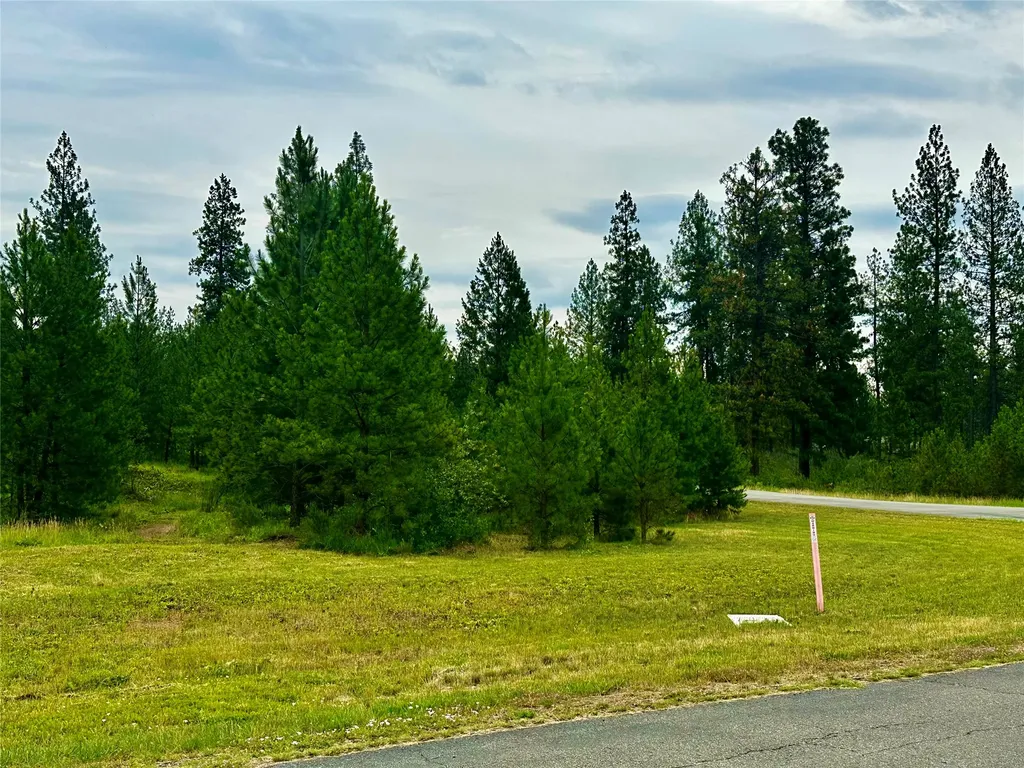 Nhn Mahonia Road Plains MT 59859