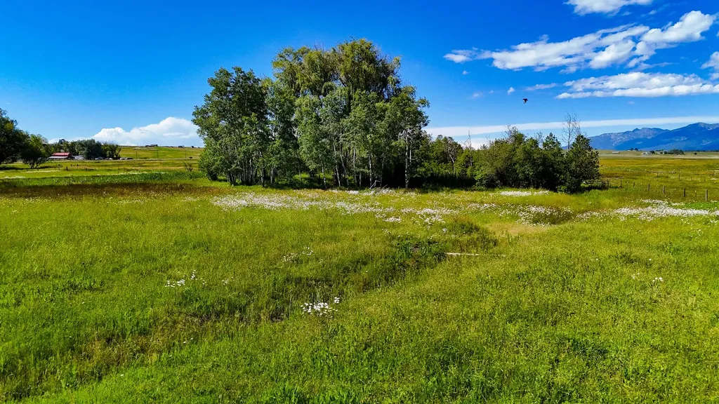34830 E Post Creek Road St Ignatius MT 59865