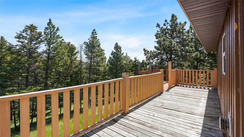 4855 Iron Ridge Loop Helena MT 59602