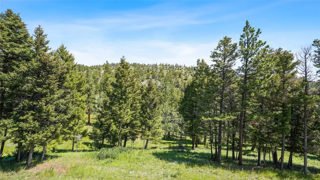 4855 Iron Ridge Loop Helena MT 59602