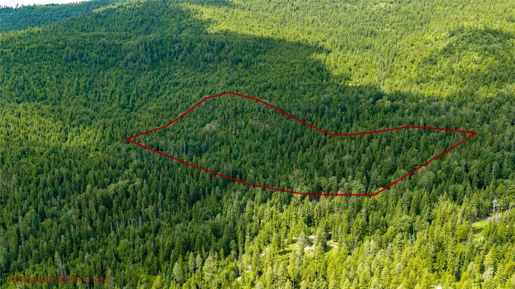 Nhn Peach Park Loop Rollins MT 59931