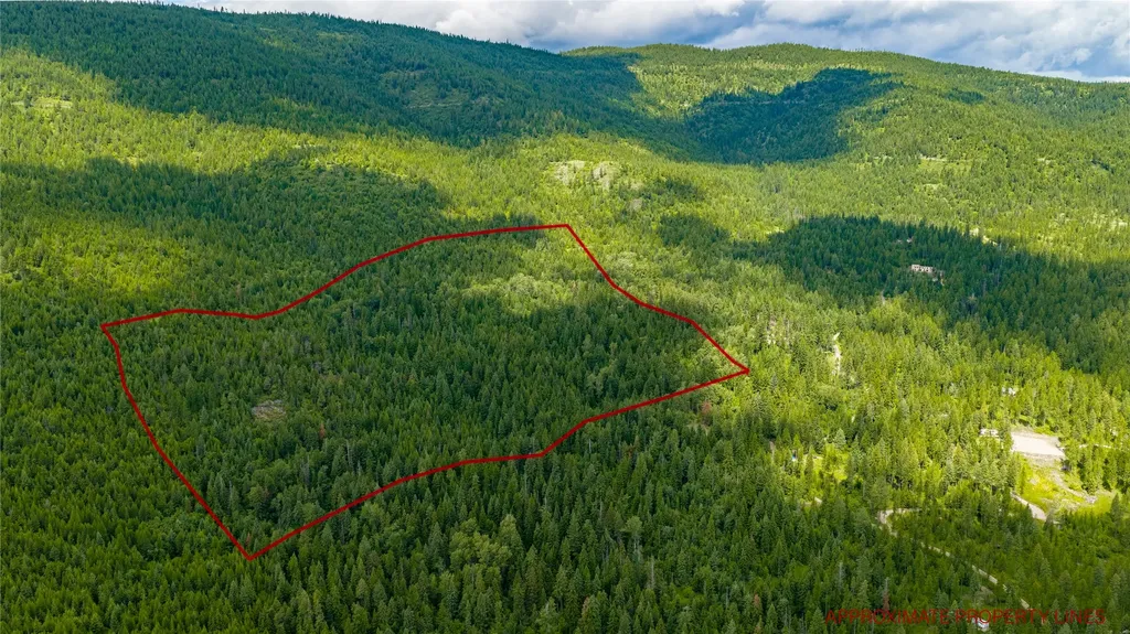 Nhn Peach Park Loop Rollins MT 59931