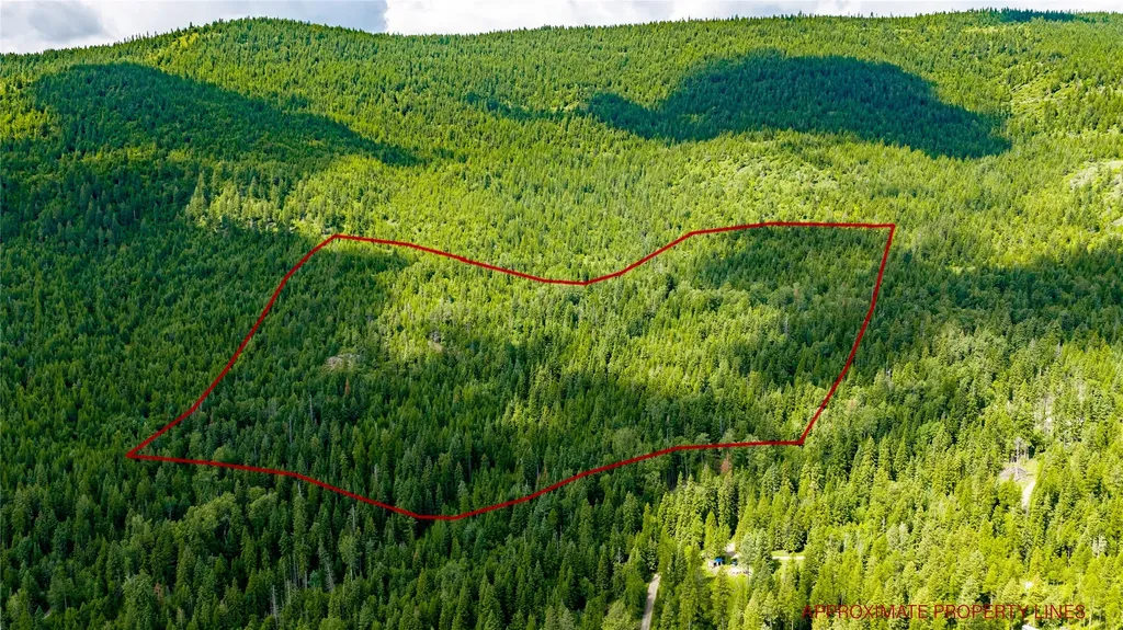Nhn Peach Park Loop Rollins MT 59931