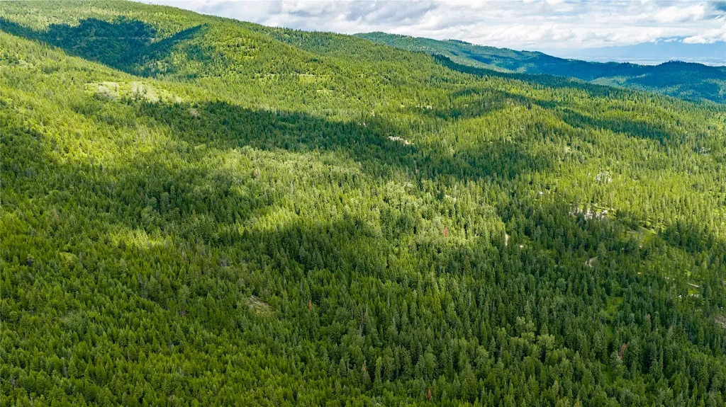 Nhn Peach Park Loop Rollins MT 59931