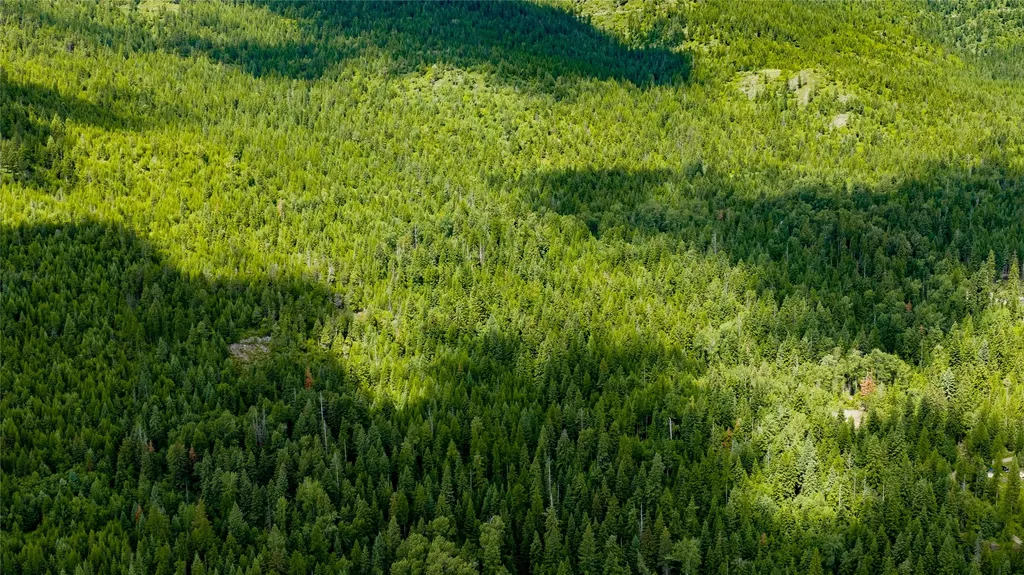 Nhn Peach Park Loop Rollins MT 59931