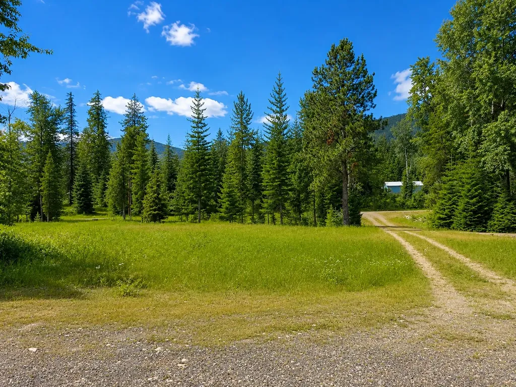 12 Bartholomew Road Noxon MT 59853