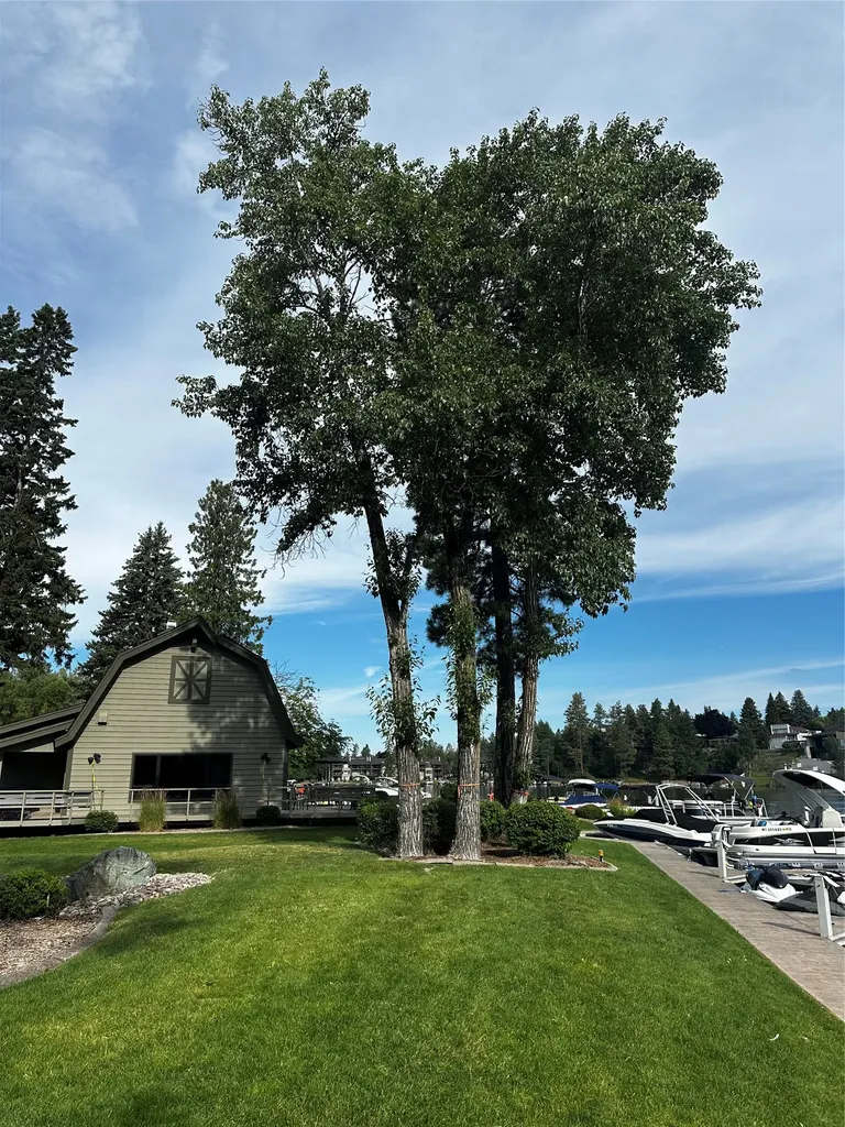 220 Bridge Street Bigfork MT 59911