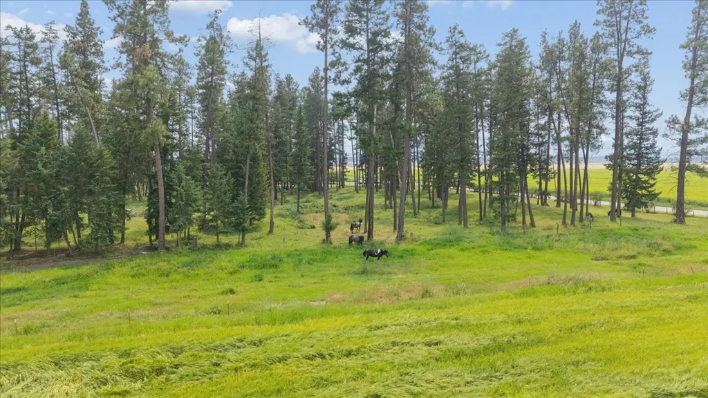480 Egan Road Kalispell MT 59901