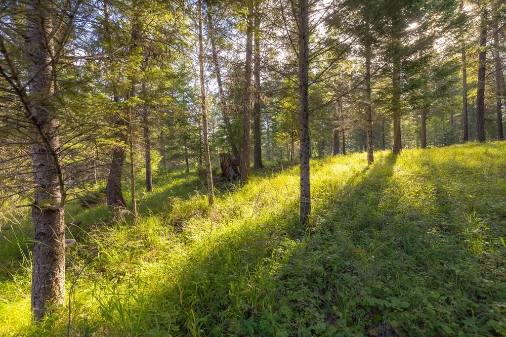 248 Pine Woods Court Whitefish MT 59937