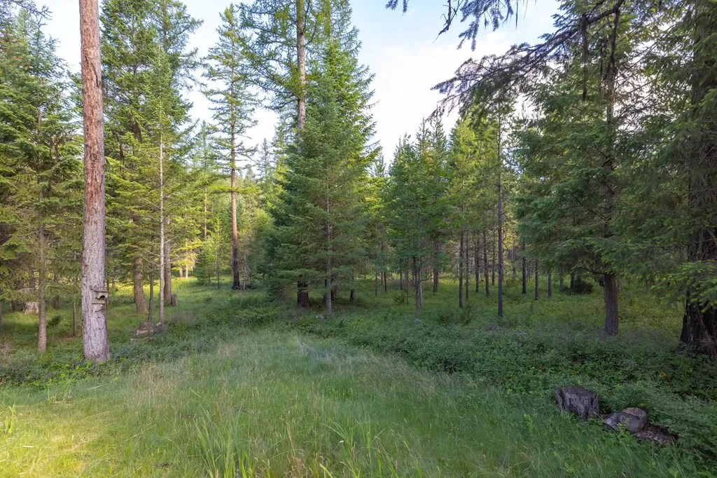 248 Pine Woods Court Whitefish MT 59937