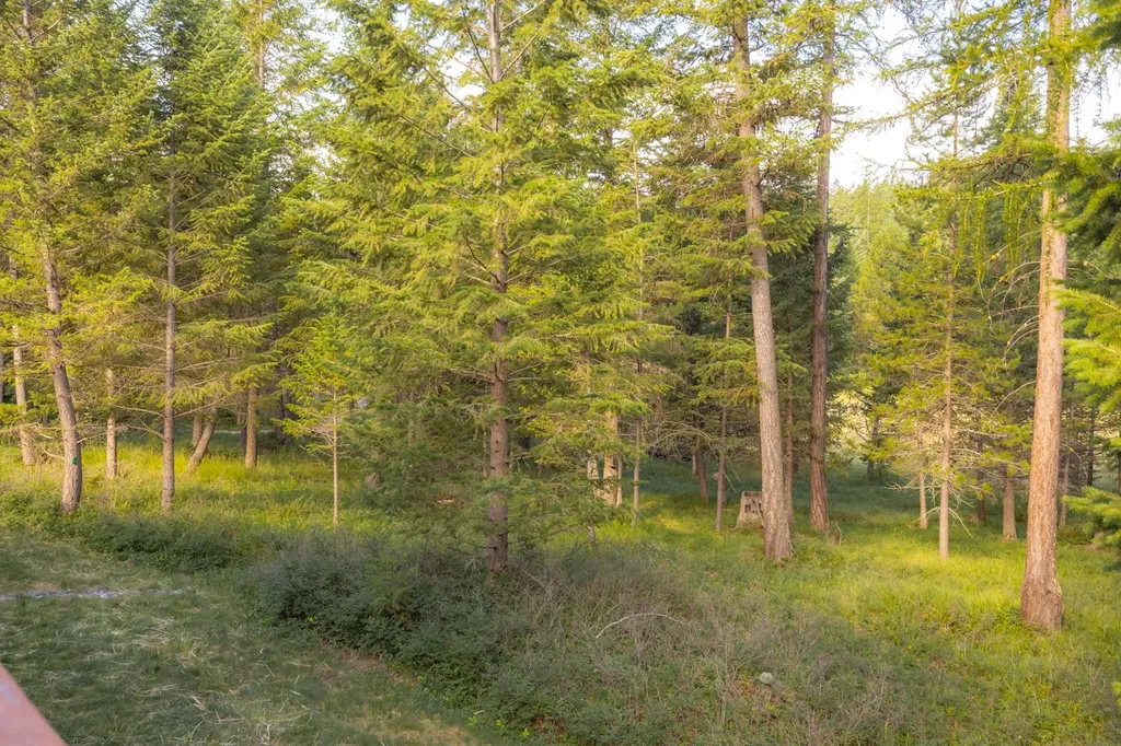 248 Pine Woods Court Whitefish MT 59937