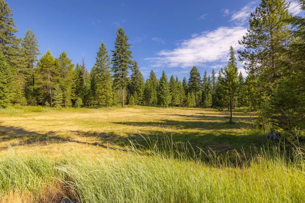 248 Pine Woods Court Whitefish MT 59937