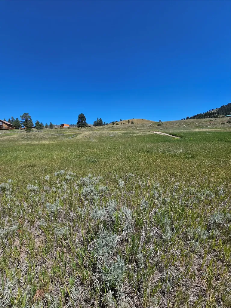 8376 American Bar Road Helena MT 59602