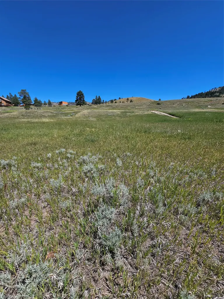 8376 American Bar Road Helena MT 59602