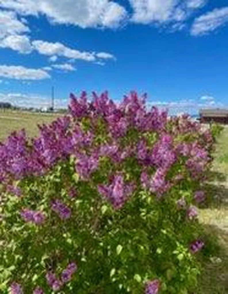 123 Weasel Creek Road Winston MT 59647