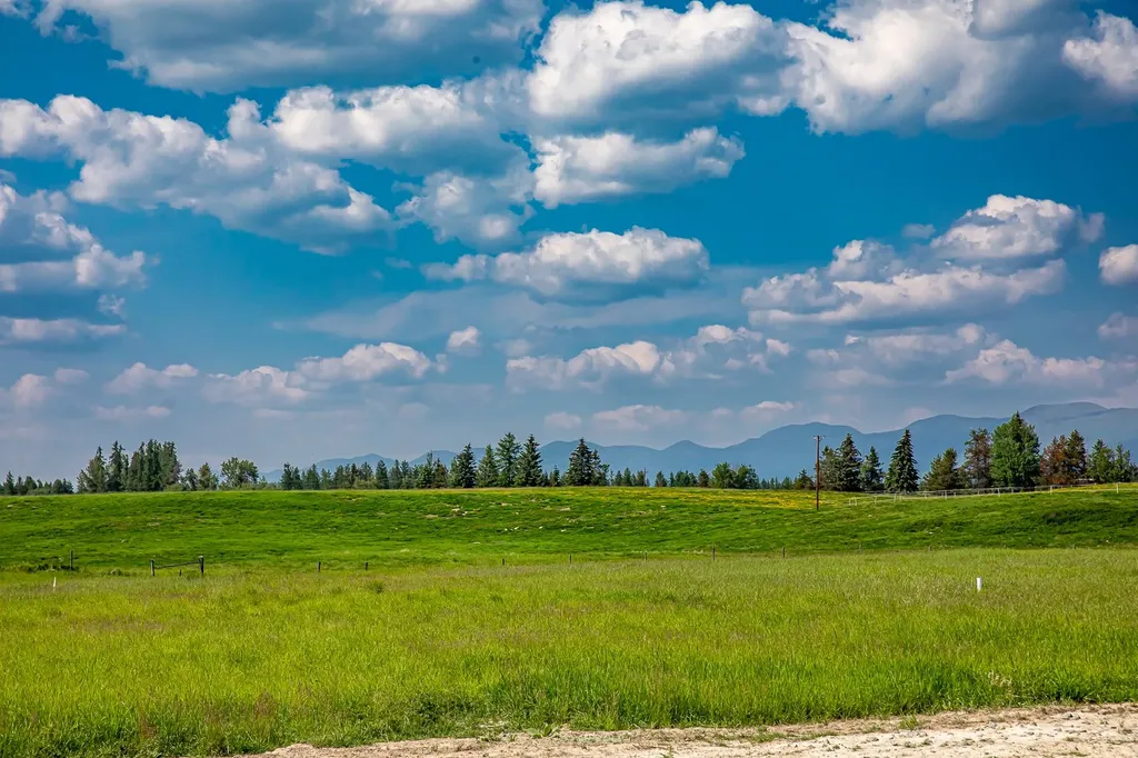 293 River Ranch Road Whitefish MT 59937