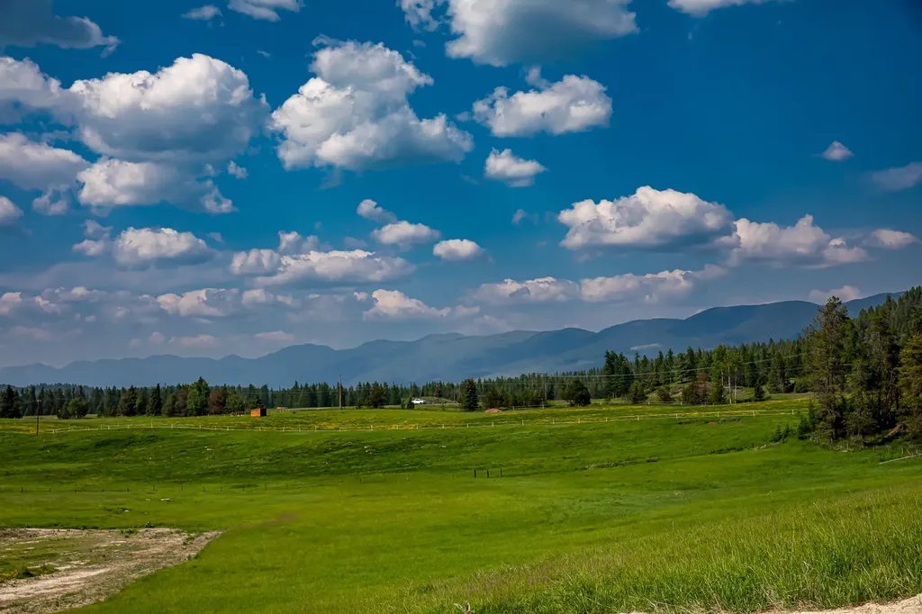 293 River Ranch Road Whitefish MT 59937