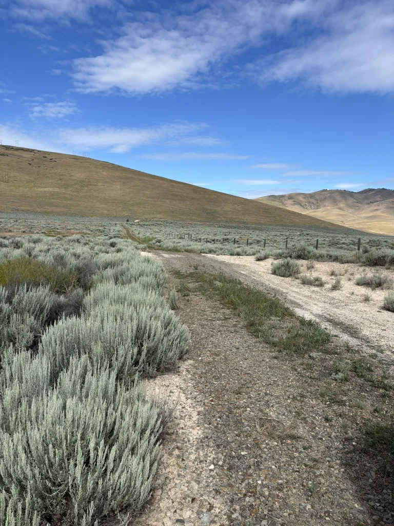 77 Sagebrush Flats Trail Hot Springs MT 59845