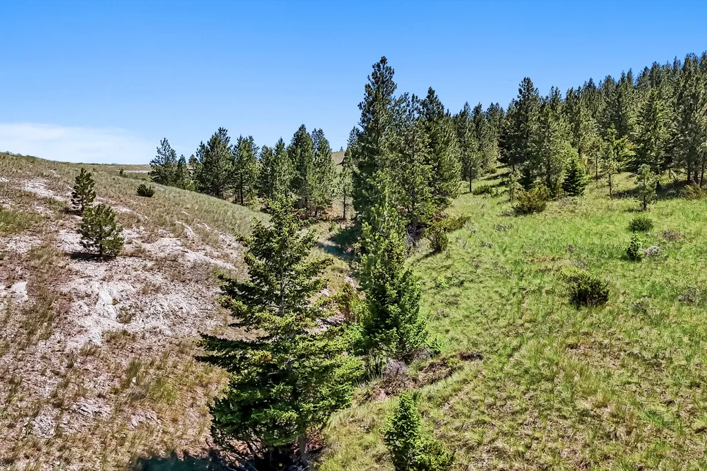 519 1st Street Helena MT 59601
