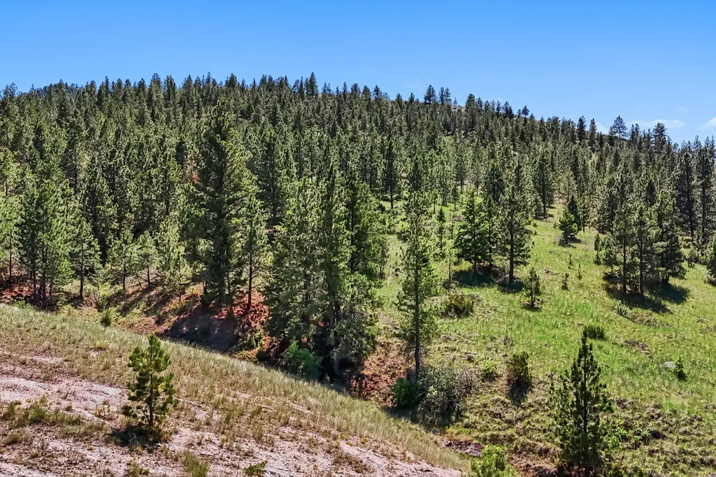 519 1st Street Helena MT 59601