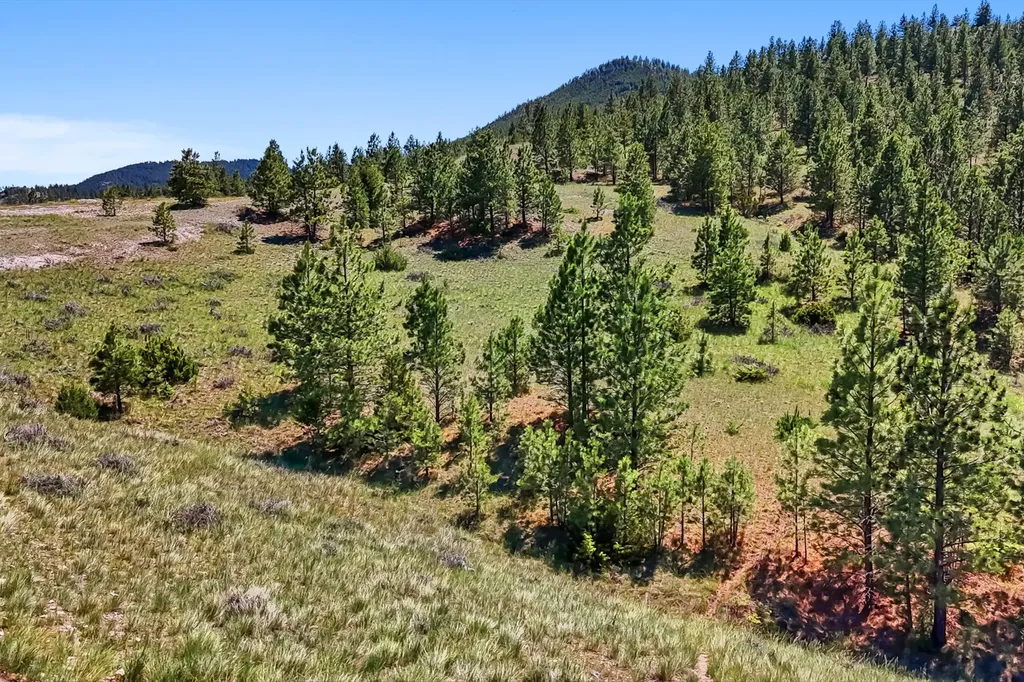519 1st Street Helena MT 59601