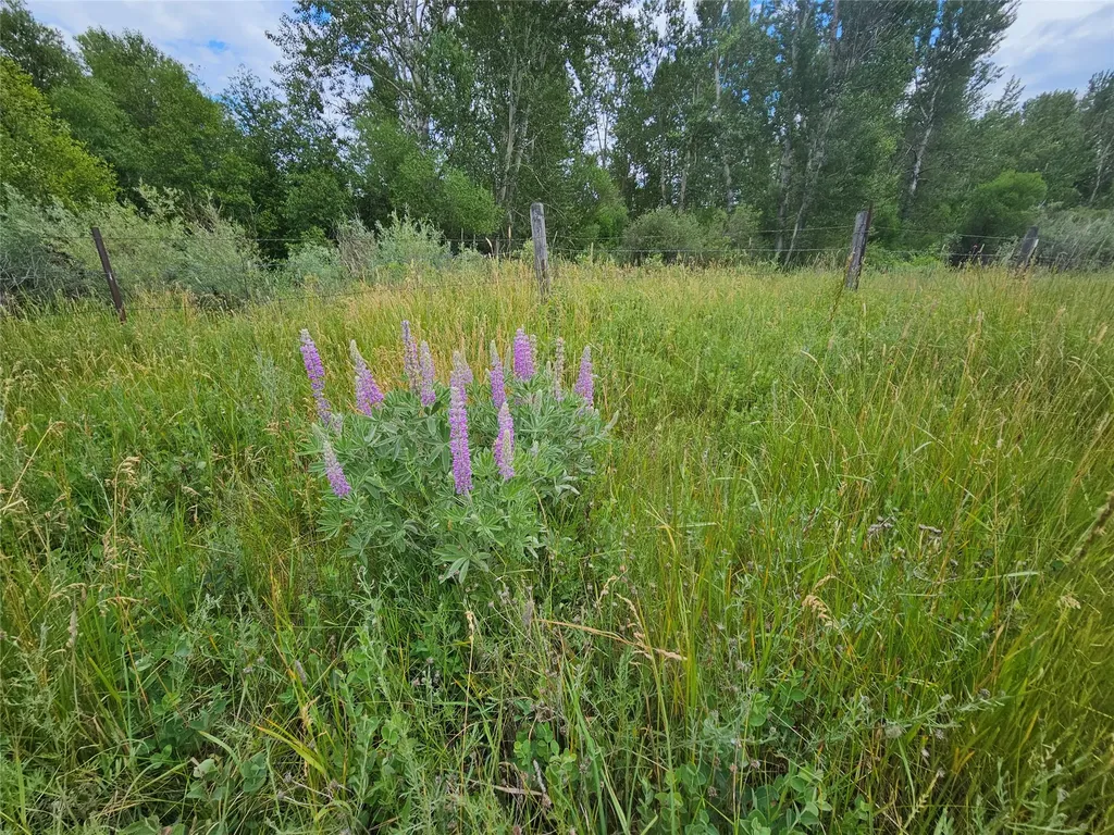 4182 Stevensville River Road Stevensville MT 59870