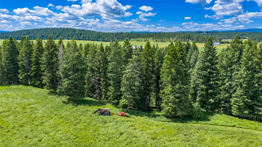 300 Barnes Lane Columbia Falls MT 59912