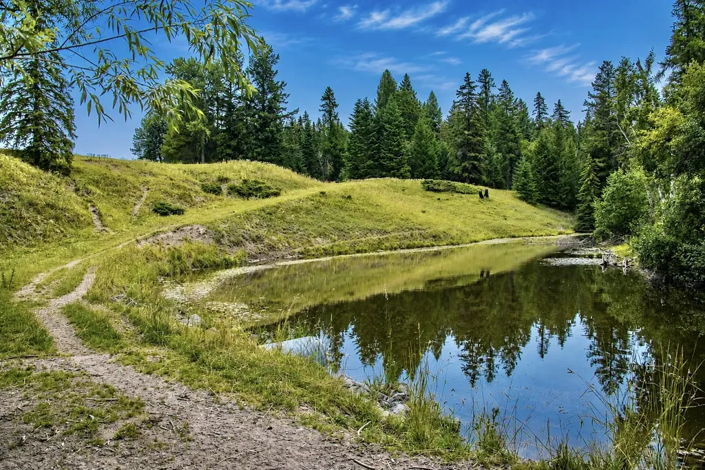 300 Barnes Lane Columbia Falls MT 59912