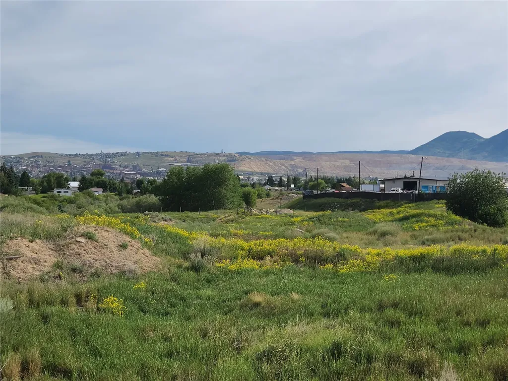 Tbd Hansen Road Butte MT 59701