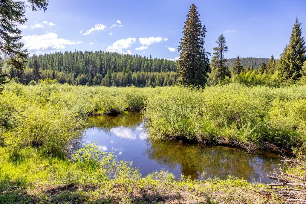 Nhn Fortine Creek Road Trego MT 59934