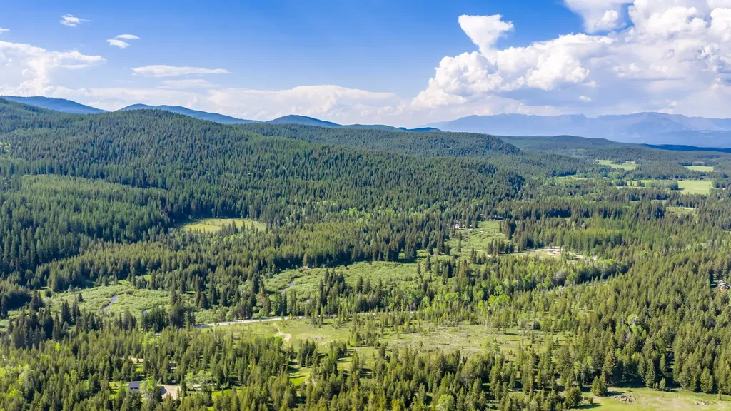 Nhn Fortine Creek Road Trego MT 59934