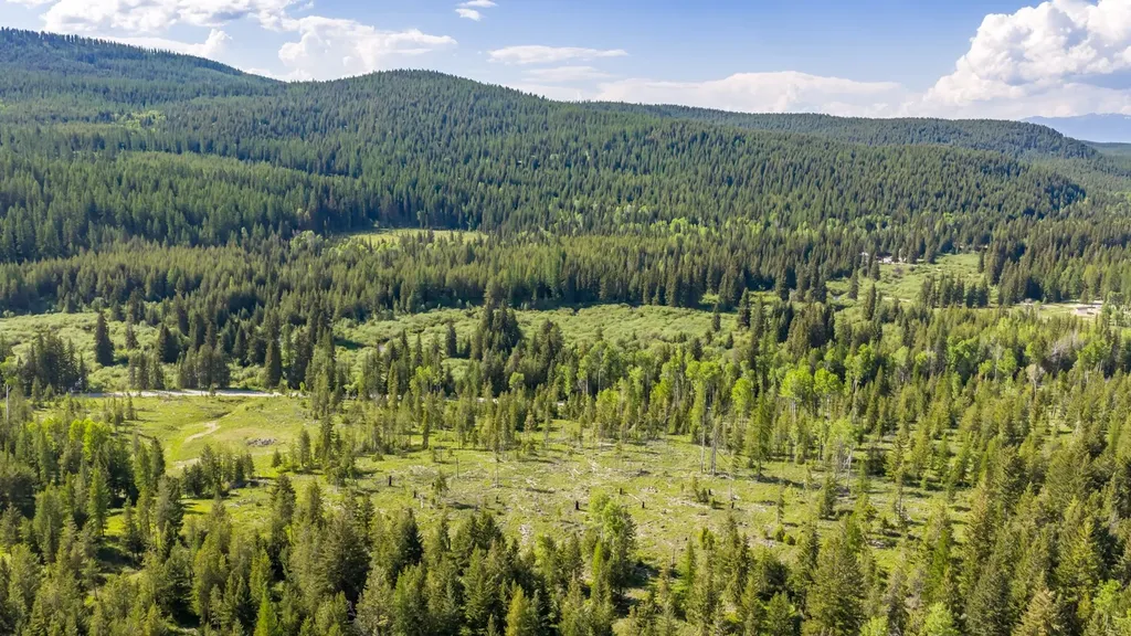 Nhn Fortine Creek Road Trego MT 59934