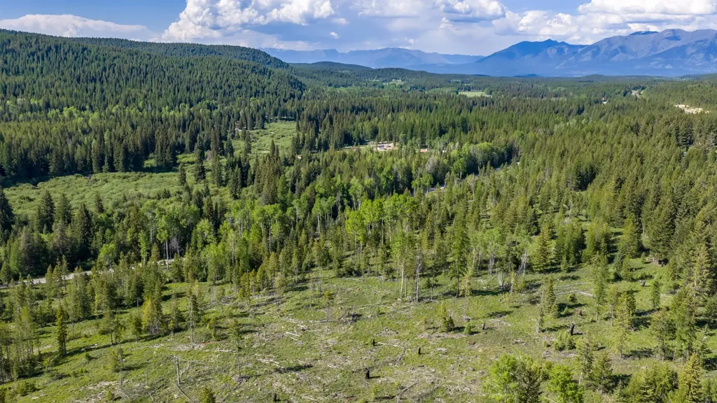 Nhn Fortine Creek Road Trego MT 59934