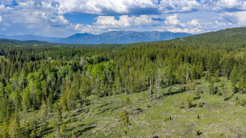 Nhn Fortine Creek Road Trego MT 59934