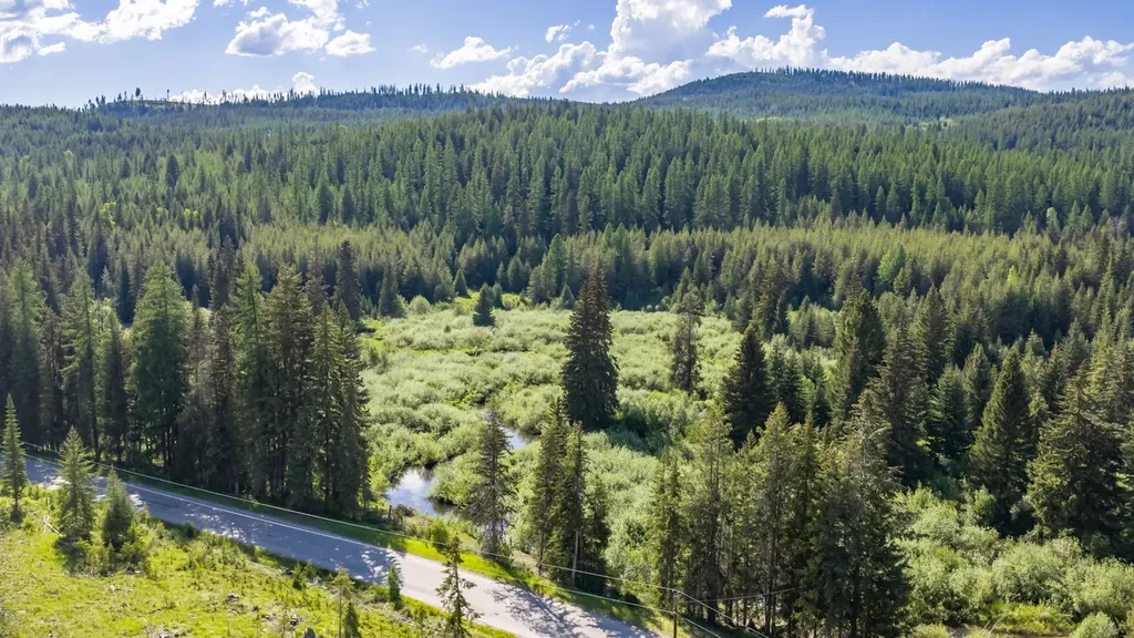 Nhn Fortine Creek Road Trego MT 59934