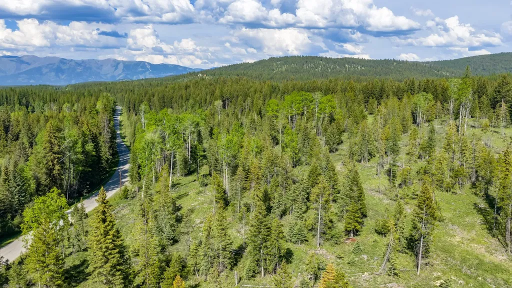 Nhn Fortine Creek Road Trego MT 59934