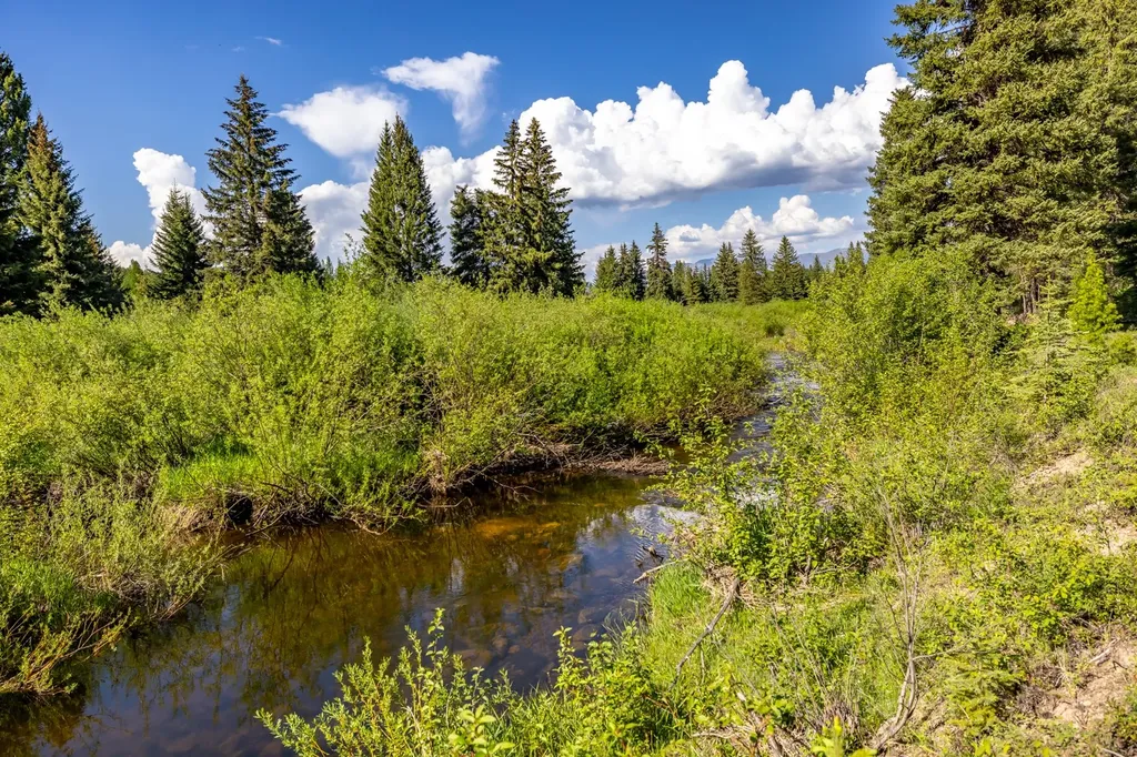 Nhn Fortine Creek Road Trego MT 59934