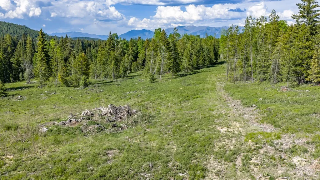 Nhn Fortine Creek Road Trego MT 59934