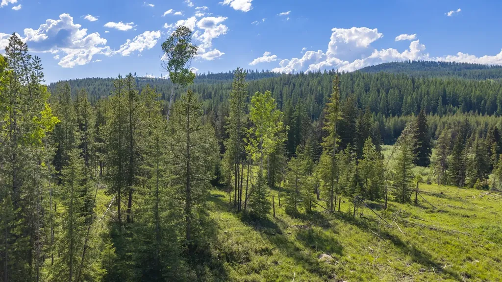 Nhn Fortine Creek Road Trego MT 59934