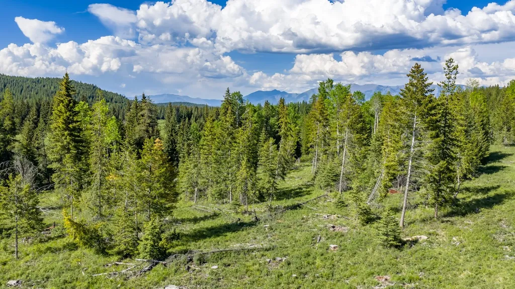 Nhn Fortine Creek Road Trego MT 59934