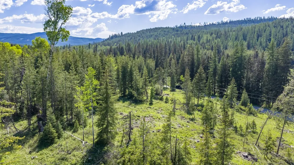 Nhn Fortine Creek Road Trego MT 59934