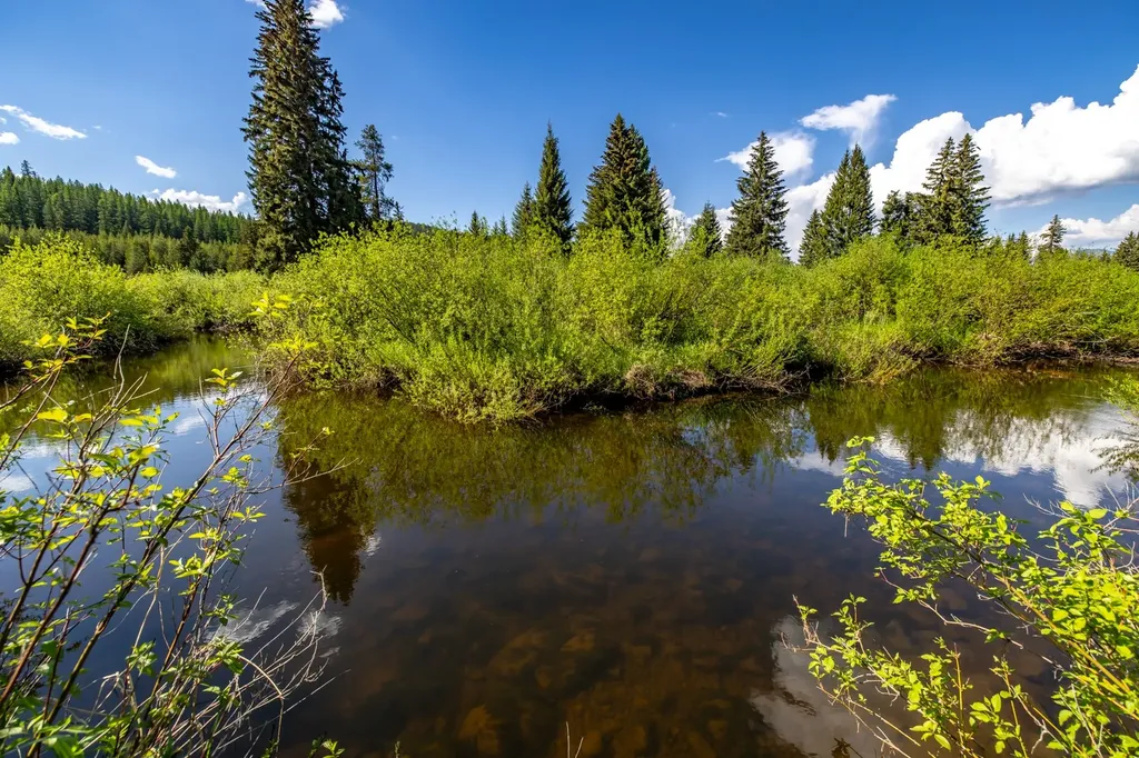 Nhn Fortine Creek Road Trego MT 59934