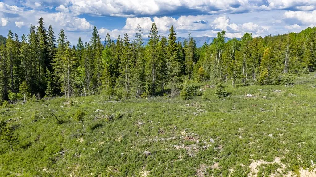 Nhn Fortine Creek Road Trego MT 59934
