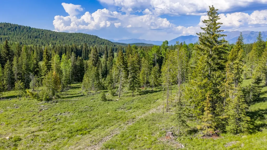 Nhn Fortine Creek Road Trego MT 59934