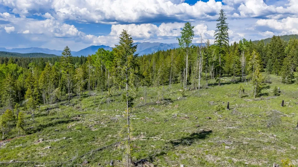 Nhn Fortine Creek Road Trego MT 59934