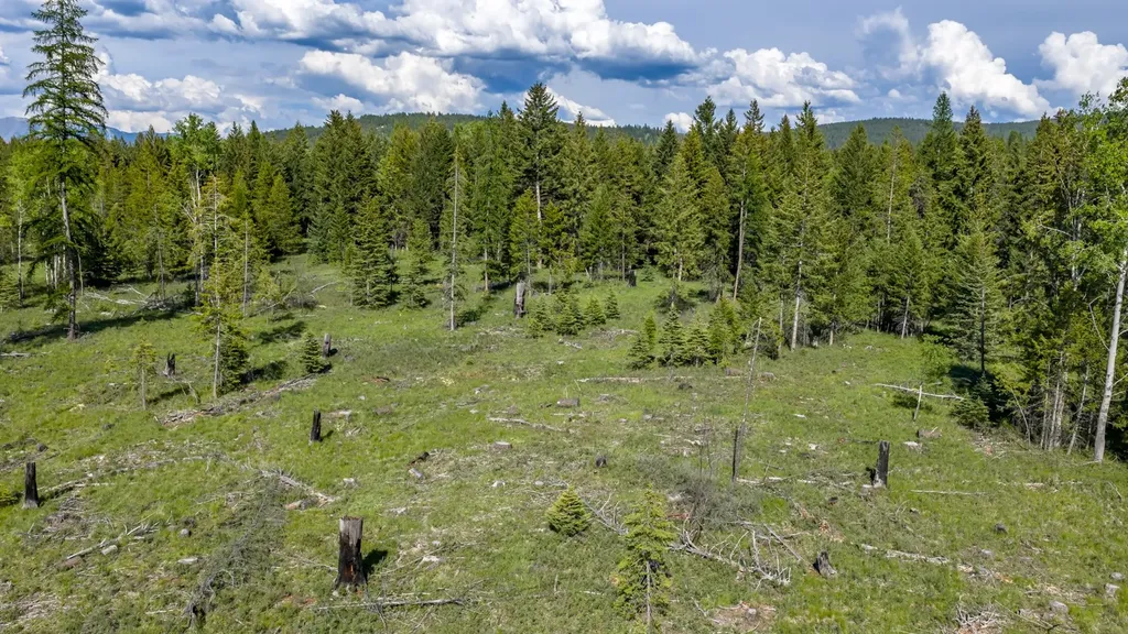 Nhn Fortine Creek Road Trego MT 59934