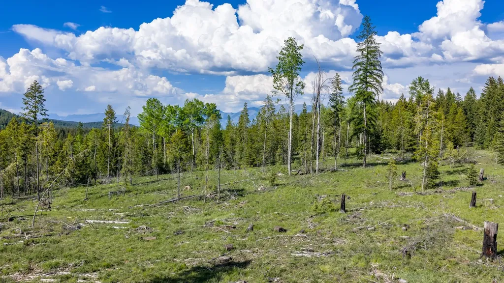 Nhn Fortine Creek Road Trego MT 59934