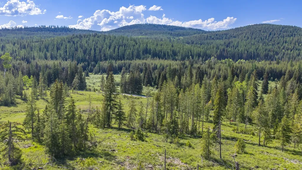 Nhn Fortine Creek Road Trego MT 59934