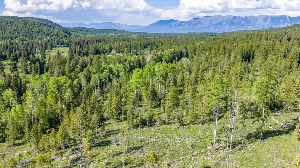 Nhn Fortine Creek Road Trego MT 59934