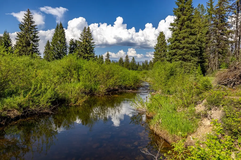 Nhn Fortine Creek Road Trego MT 59934